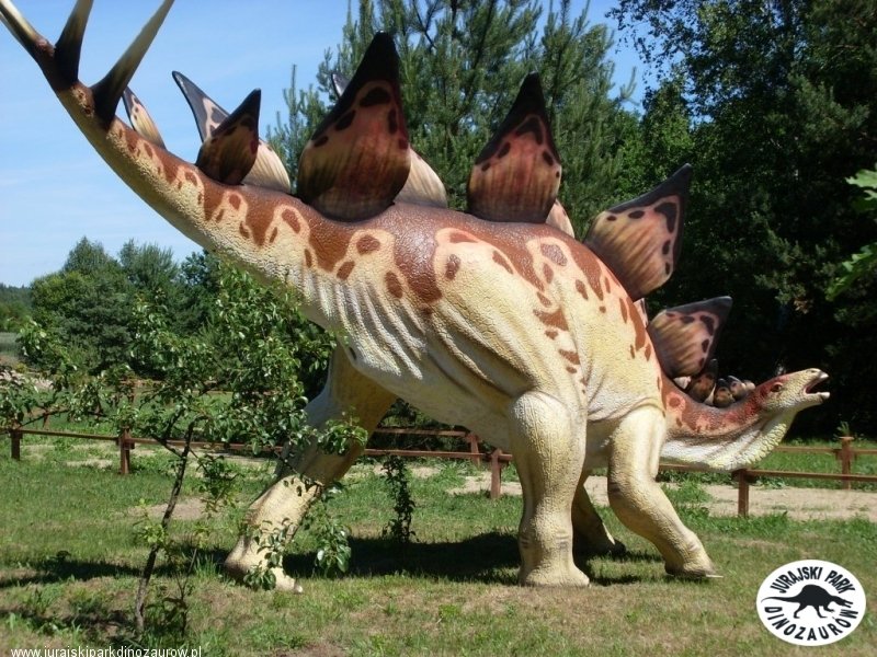 Góry Świętokrzyskie-Park Jurajski-Ćmielów 2dni