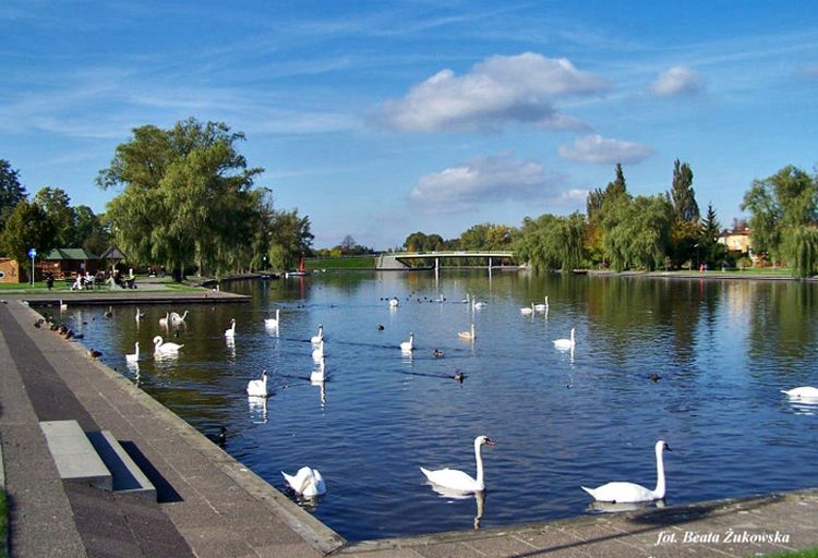 Augustów-Studzieniczna