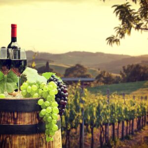 Toscana Tour