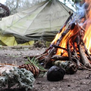 Międzyrzec Podlaski - survival