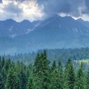 Bukowina-rekreacja