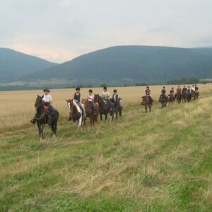 Brzeźnica - rajd konny