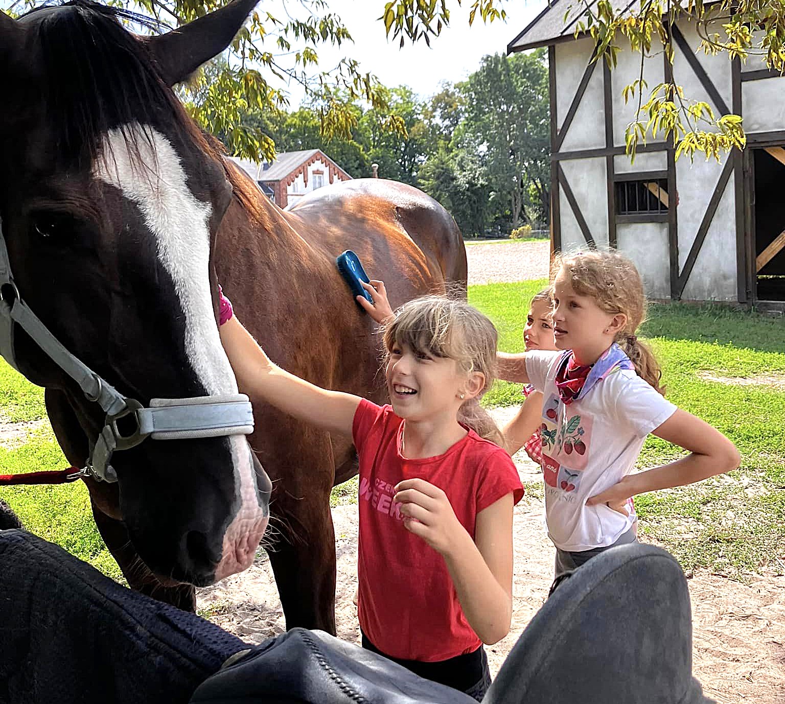 Julinek – kolonia letnia Wioo Przygodo z Hobby Horse 9-12 lat