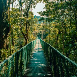 Kostaryka - obóz - lato