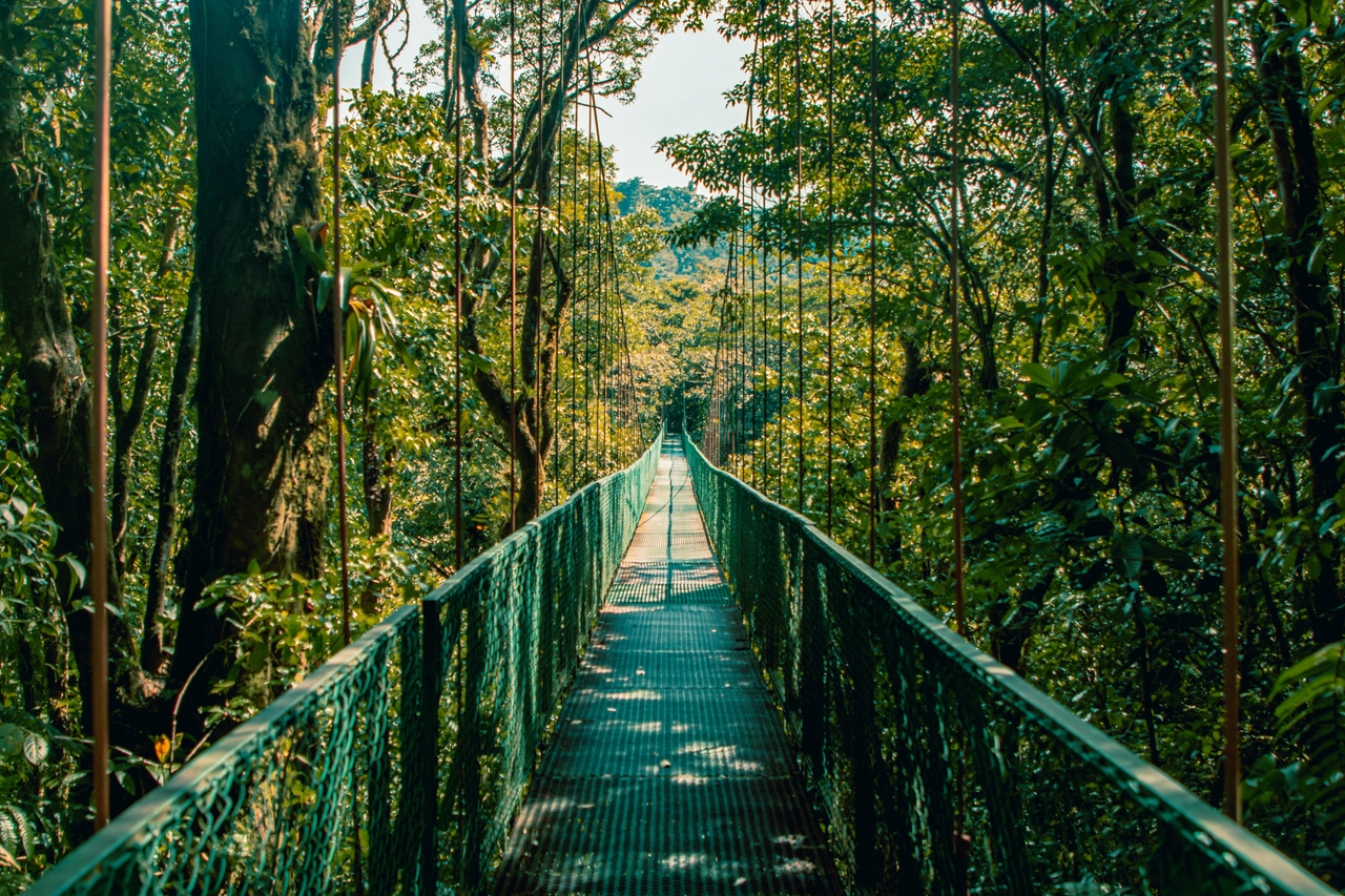 Kostaryka - Wakacje w dżungli - wylot z Warszawy 14-19 lat