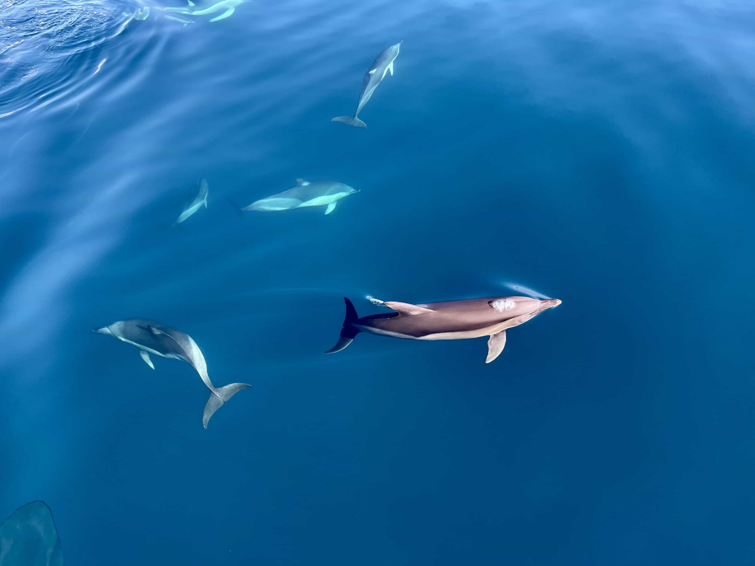 Grecja - obóz rekreacyjny- samolot - wylot z Warszawy 12-18 lat