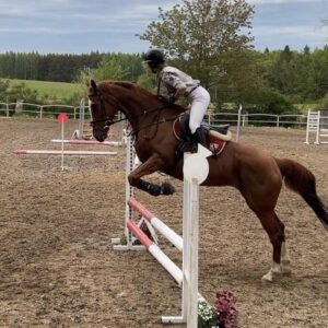 Runowo - obóz jeździecki Wakacje w siodle