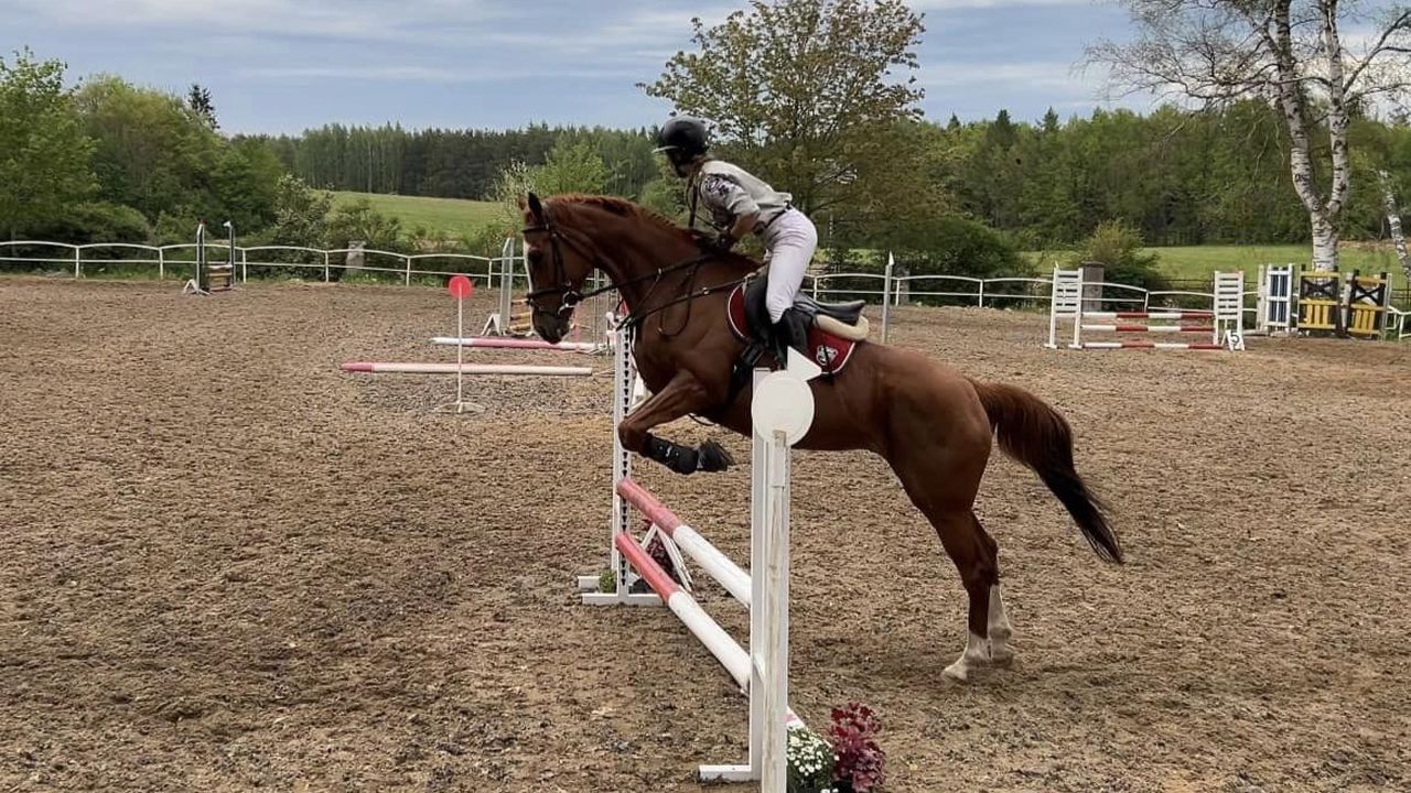 Runowo - obóz jeździecki Wakacje w siodle 8-18 lat