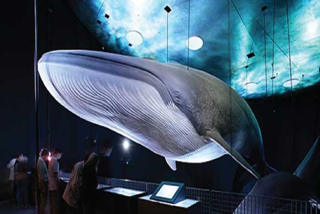 Kołobrzeg - obóz piłki nożnej 7-18 lat