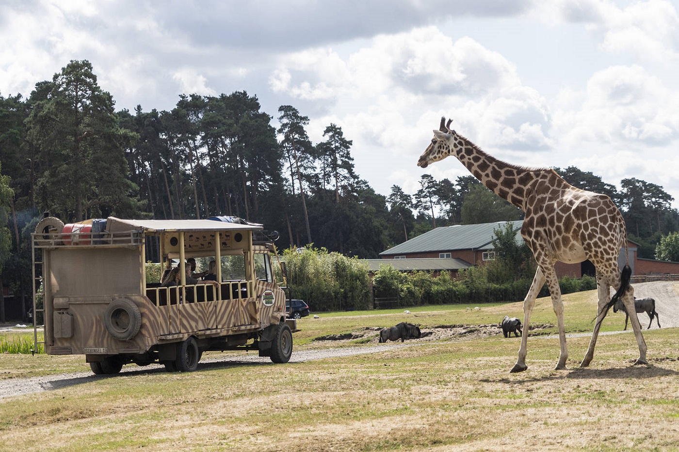 Kołobrzeg - obóz sportowy 10-18 lat